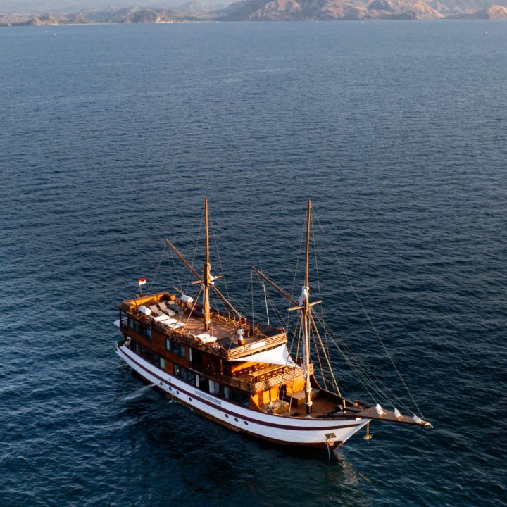 Neptune Cruise