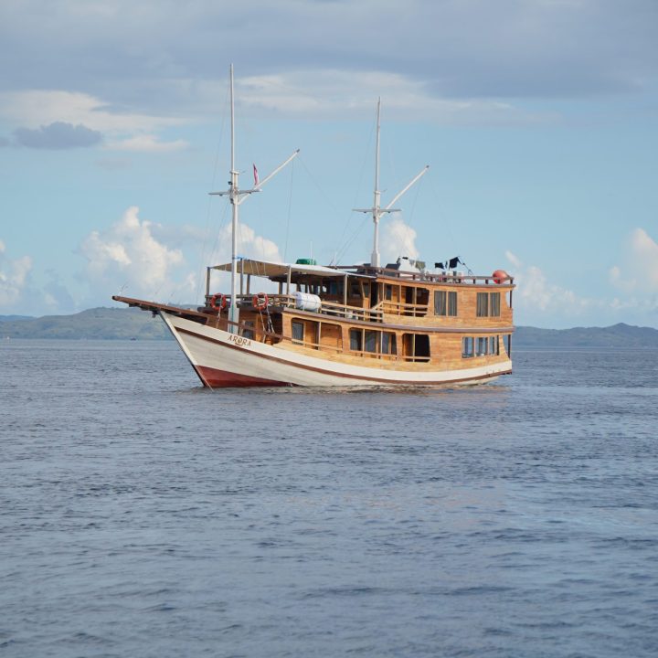 DSC09909